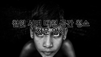 철원 서면 대형 공간 청소 전문 업체